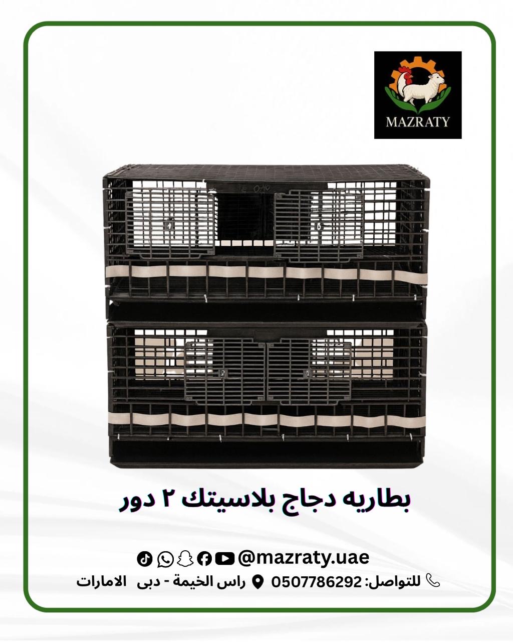 بطارية دجاج