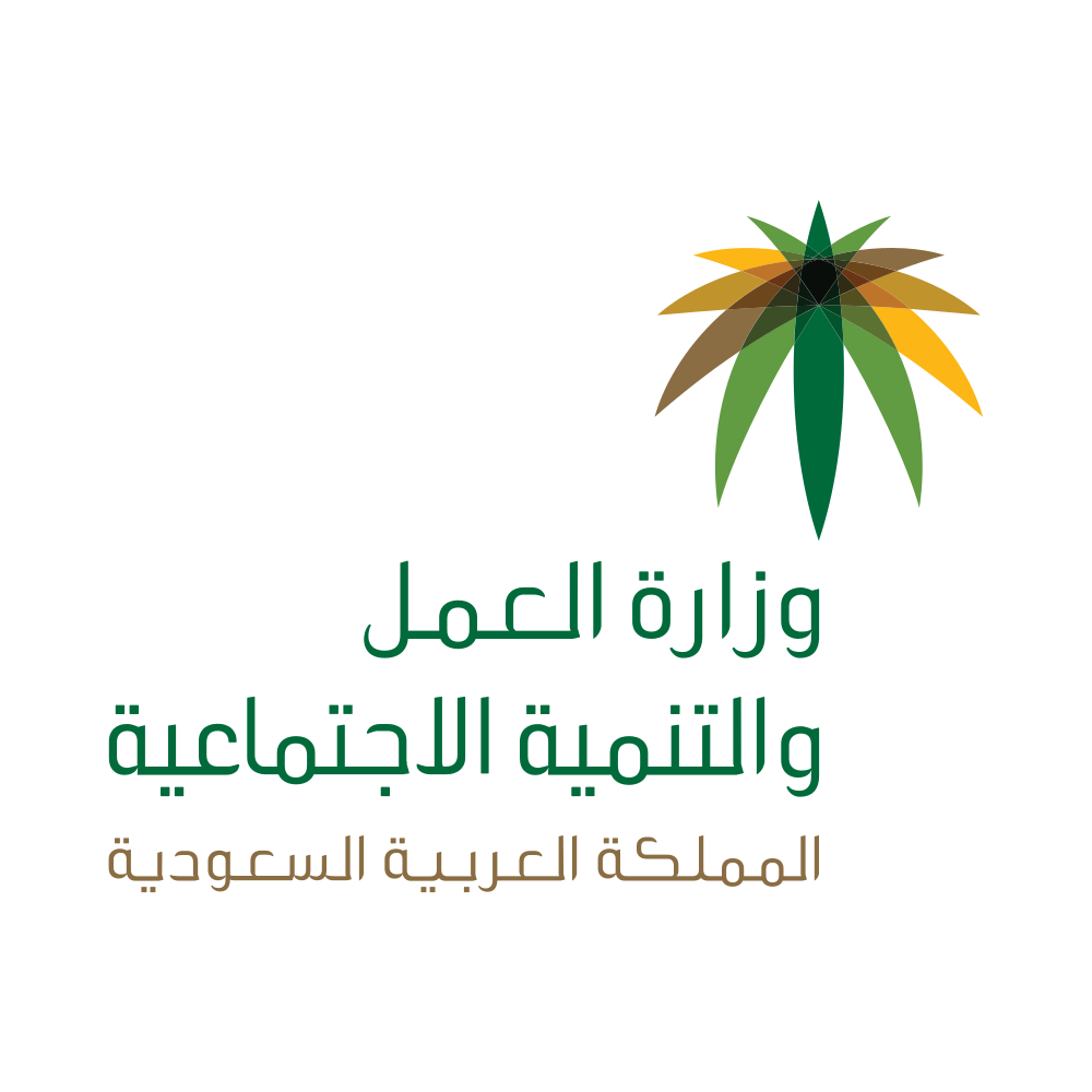شريك استراتيجي 1